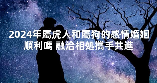 2024年屬虎人和屬狗的感情婚姻順利嗎 融洽相処攜手共進
